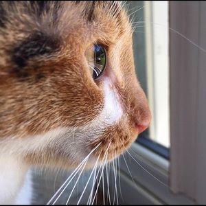 Meet your Posher, Alexandra